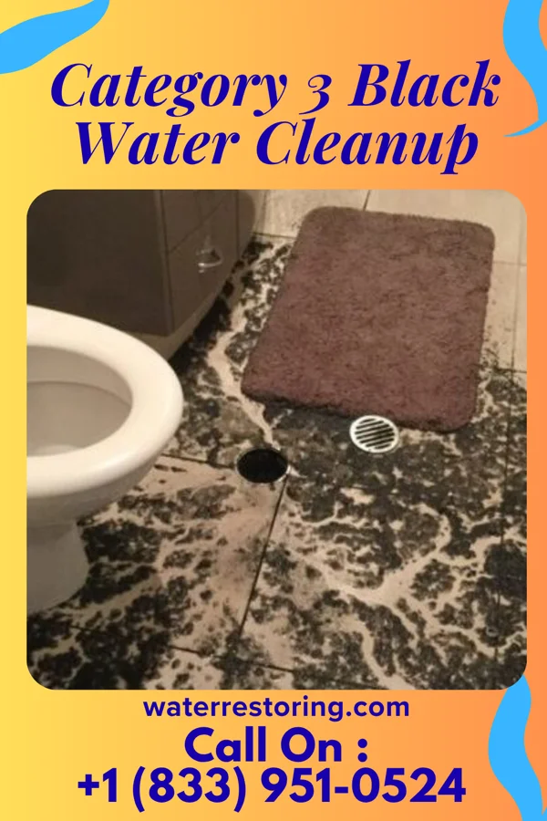 Category 3 Black Water Cleanup in West Kittanning, PA