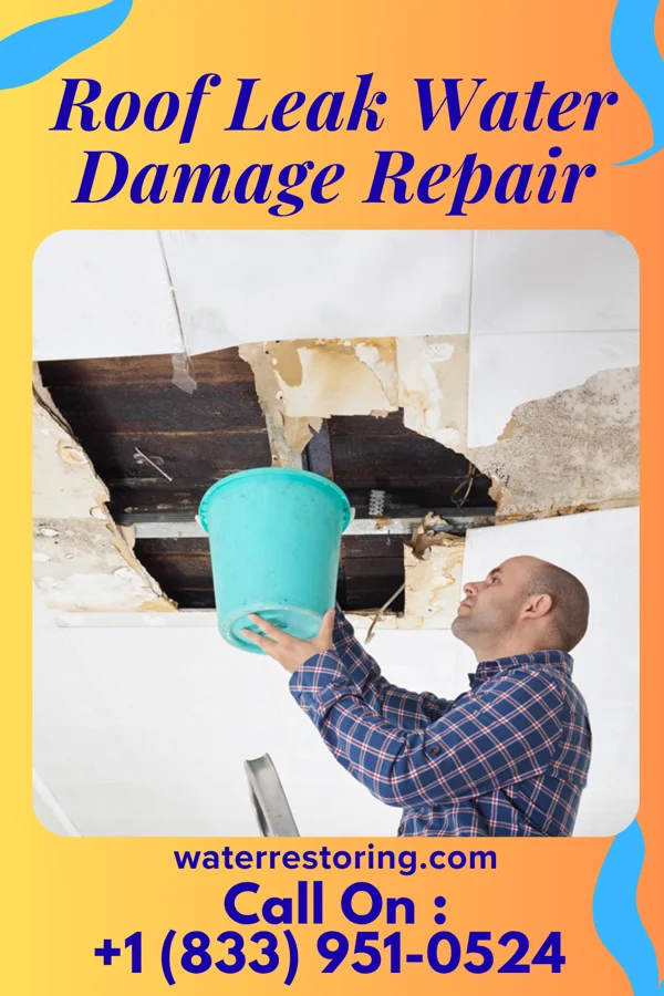 Roof Leak Water Damage Repair in West Kittanning, PA
