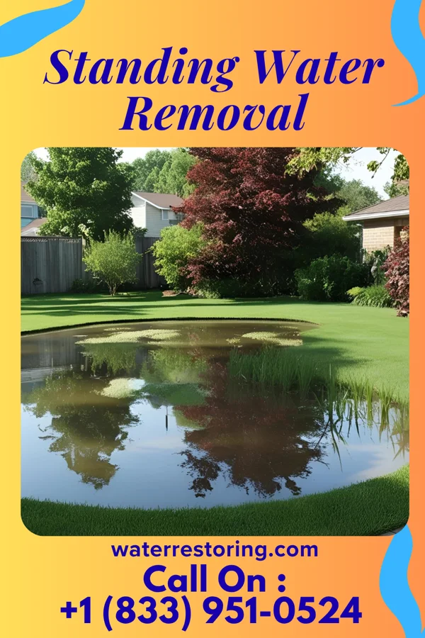 Standing Water Removal in West Kittanning, PA